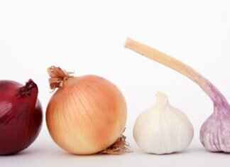 Indonesian Cuisine: Exploring the Flavors of Satay, Nasi Goreng, and Rendang Indonesian Cuisine: Exploring the Flavors of Satay, Nasi Goreng, and Rendang