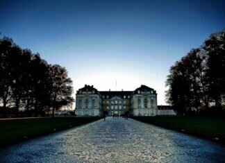 Insta360 X3 AI Editing Features: Are They Actually Useful? Insta360 X3 AI Editing Features: Are They Actually Useful?