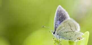 Insta360’s New Action Camera Just Changed the Game – Here’s Why Insta360’s New Action Camera Just Changed the Game – Here’s Why