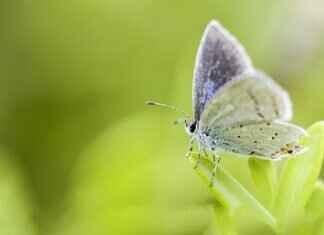 Insta360’s New Action Camera Just Changed the Game – Here’s Why Insta360’s New Action Camera Just Changed the Game – Here’s Why