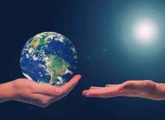 IOFBodies.com Ethics: The Controversy Behind This Platform IOFBodies.com Ethics: The Controversy Behind This Platform