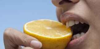 Is a Dog Bite More Dangerous Than a Cat Bite? Is a Dog Bite More Dangerous Than a Cat Bite?