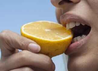 Is a Dog Bite More Dangerous Than a Cat Bite? Is a Dog Bite More Dangerous Than a Cat Bite?