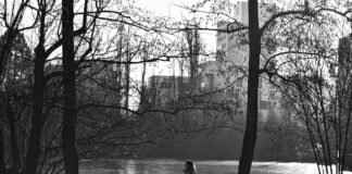 Is It a Crime to Not Pay Alimony? Is It a Crime to Not Pay Alimony?