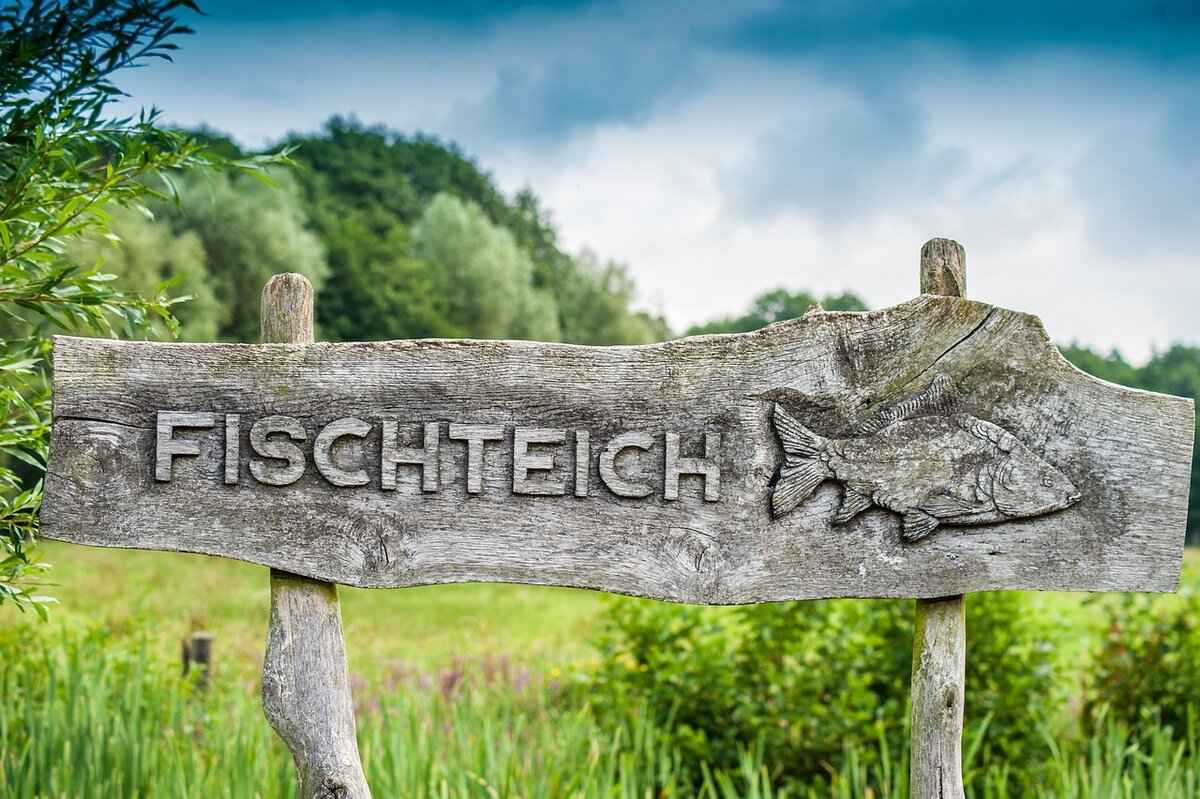 Understanding Legal Notices