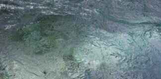 Jangmo-o Pokémon: Evolution, Best Moveset, and Competitive Strategy Jangmo-o Pokémon: Evolution, Best Moveset, and Competitive Strategy