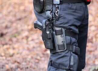 Jet to the Rescue: Paw Patrol’s High-Flying Adventure Review Jet to the Rescue: Paw Patrol’s High-Flying Adventure Review