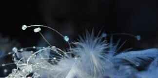 Jewelry Shops Near Me: How to Find the Best Jewelry Stores in the US Jewelry Shops Near Me: How to Find the Best Jewelry Stores in the US