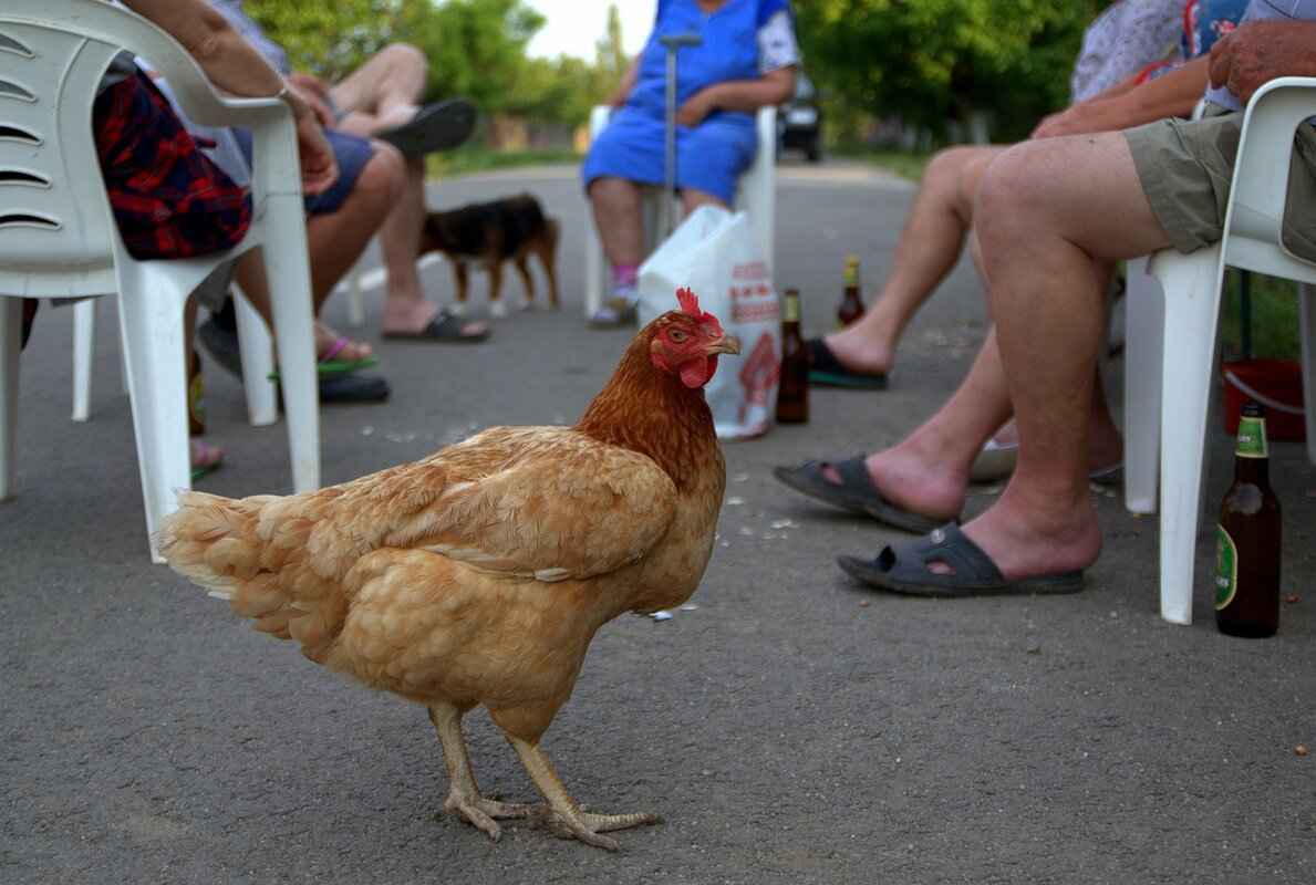 Jikatabi OnlyFans: A Breakdown of Her Exclusive Content & OnlyFans Leaks 5 Viral Moments & Controversies