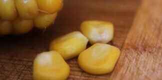 Jimmy Red Corn: What Makes This Rare Heirloom Corn Special? Jimmy Red Corn: What Makes This Rare Heirloom Corn Special?