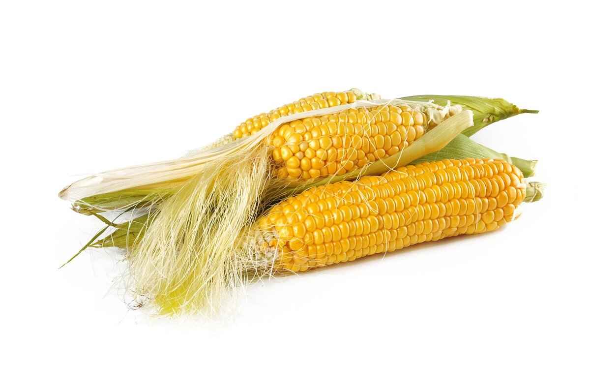 Culinary Uses of Jimmy Red Corn