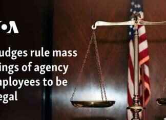 Judges Rule Mass Firings of Agency Employees Illegal judges-rule-mass-firings-of-agency-employees-llegal