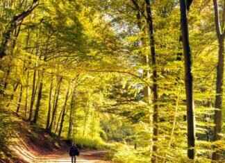 Just Play Sports: Why It’s the Next Big Thing in Active Lifestyles Just Play Sports: Why It’s the Next Big Thing in Active Lifestyles