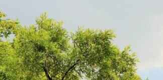 Karely Ruiz – Karely Ruiz: Mexico’s Hottest OnlyFans Star & OnlyFans Leaks Karely Ruiz – Karely Ruiz: Mexico’s Hottest OnlyFans Star & OnlyFans Leaks