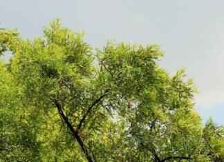 Karely Ruiz – Karely Ruiz: Mexico’s Hottest OnlyFans Star & OnlyFans Leaks Karely Ruiz – Karely Ruiz: Mexico’s Hottest OnlyFans Star & OnlyFans Leaks