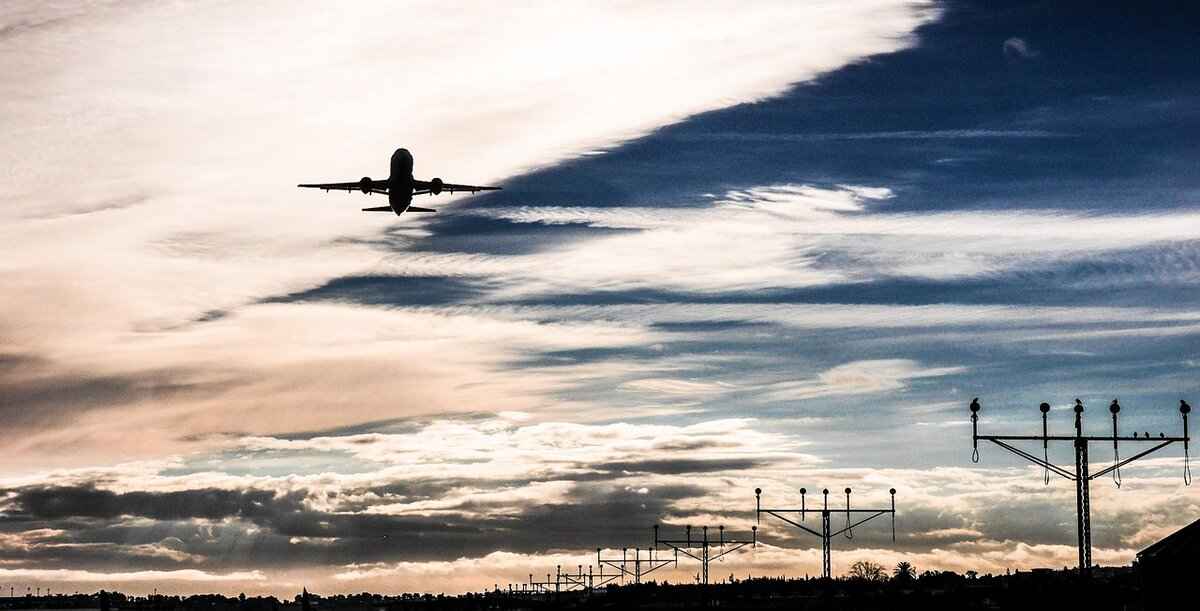 Biography & Background