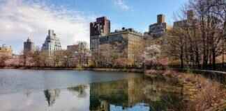 Kennedy Funding Ripoff Report: Investigating Claims and Reviews Kennedy Funding Ripoff Report: Investigating Claims and Reviews