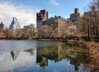 Kennedy Funding Ripoff Report: Investigating Claims and Reviews Kennedy Funding Ripoff Report: Investigating Claims and Reviews