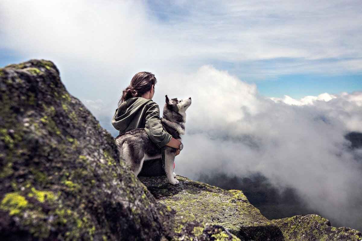 Kibbles and Bits Dog Food – Is It a Good Choice for Your Dog? 4 Pros and Cons of Kibbles and Bits