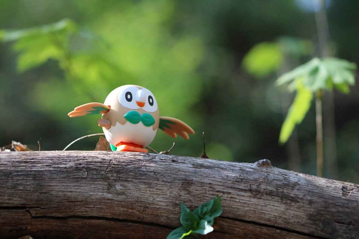 Best Moveset for Kubfu