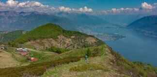 Lago Scrubs Review: Are They Worth the Hype? Lago Scrubs Review: Are They Worth the Hype?