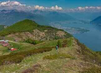 Lago Scrubs Review: Are They Worth the Hype? Lago Scrubs Review: Are They Worth the Hype?