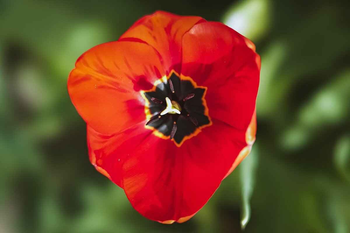 Lala ☁️ (@observinglala) – Lala’s Digital Domination: OnlyFans Models, Content & Earnings & OnlyFans Leaks 5 Social Media Presence & Influence