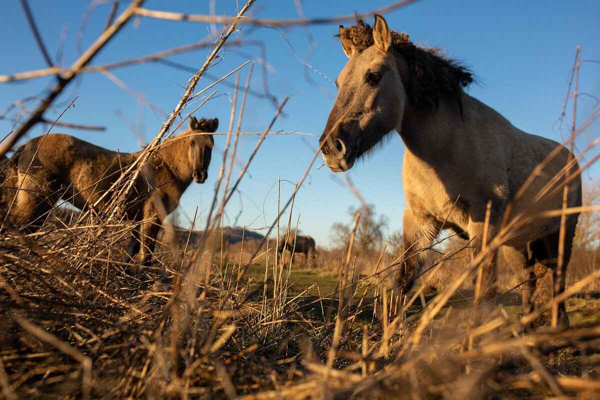 Lala ☁️ (@observinglala) – Lala’s Digital Domination: OnlyFans Models, Content & Earnings & OnlyFans Leaks 2 Journey on OnlyFans