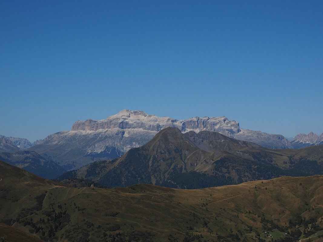 Viral Moments and Controversies