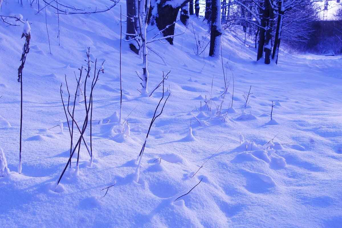 Personal Life & Public Image