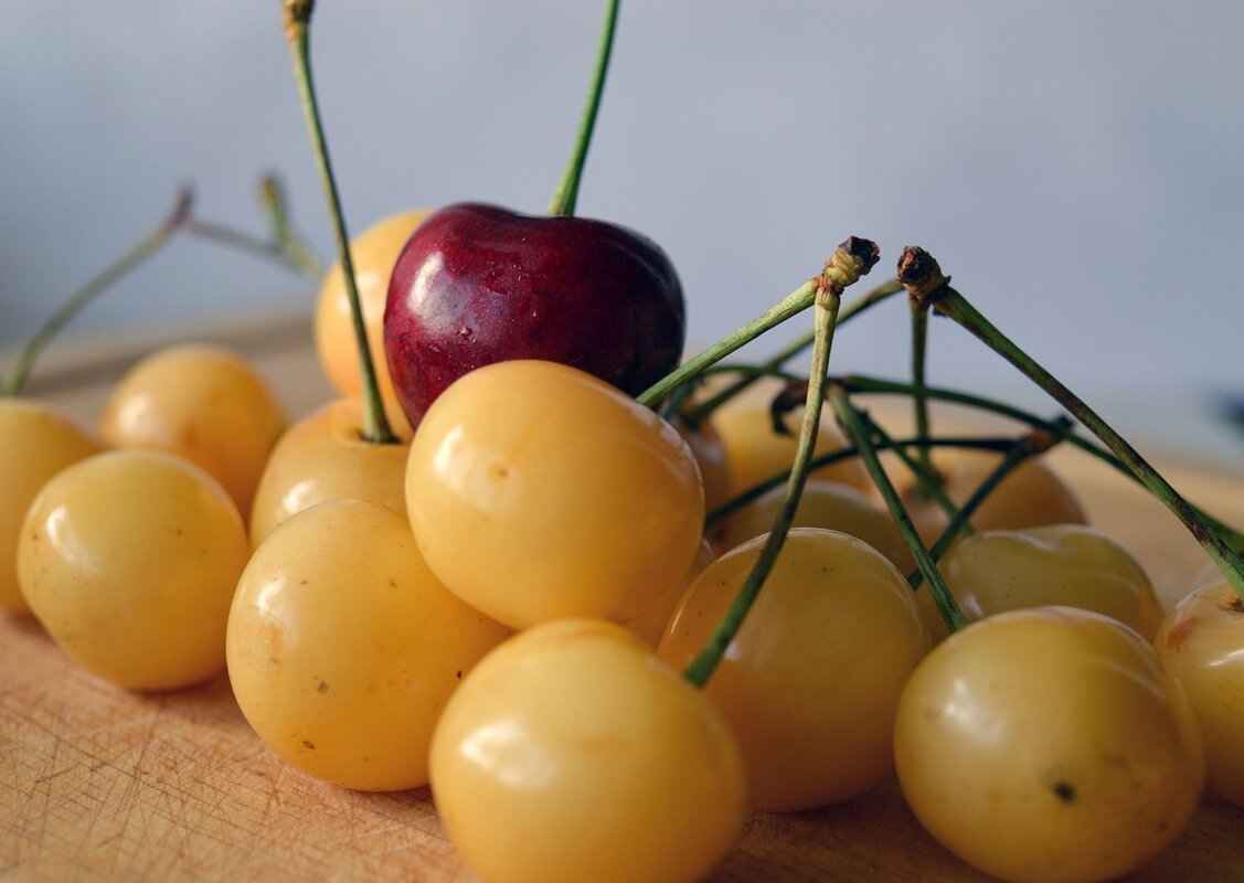 Supporting Team Members’ Well-being