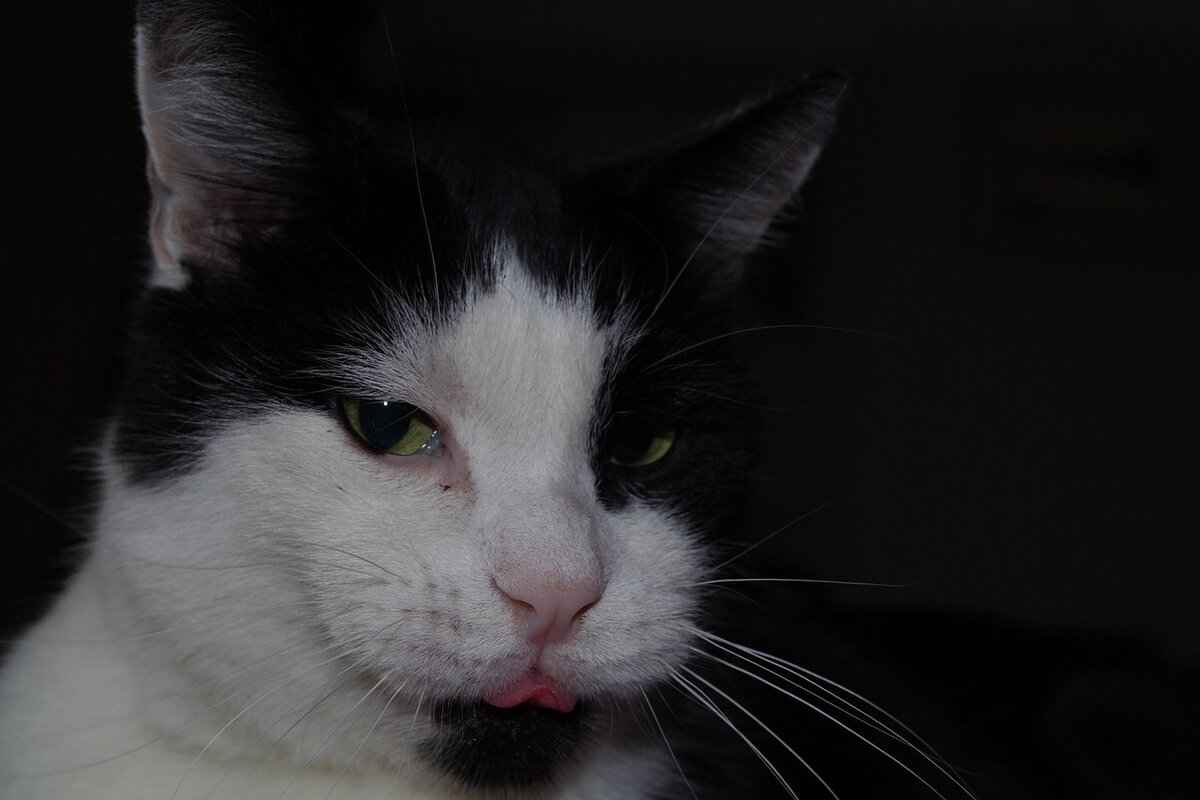 The Future of OnlyFans and Content Security