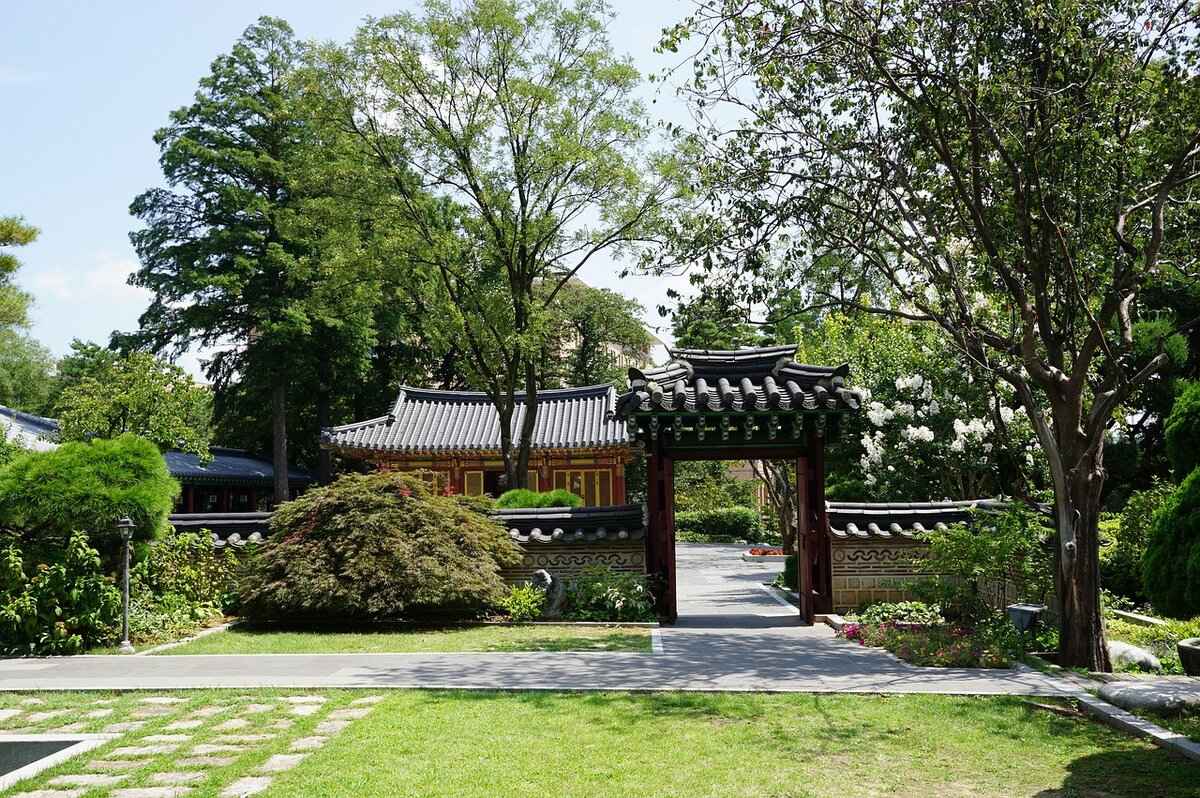 Which Schools Offer Authentic Korean BBQ Classes?