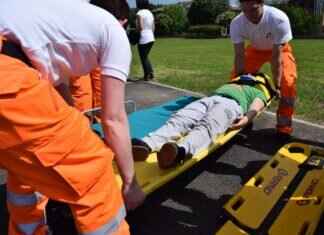 Let’s Take to the Sky! – Skye’s Most Thrilling Aerial Rescues Let’s Take to the Sky! – Skye’s Most Thrilling Aerial Rescues