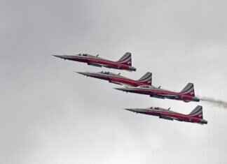 Liberty’s Debut: How the Newest Paw Patrol Pup Stole the Show Liberty’s Debut: How the Newest Paw Patrol Pup Stole the Show