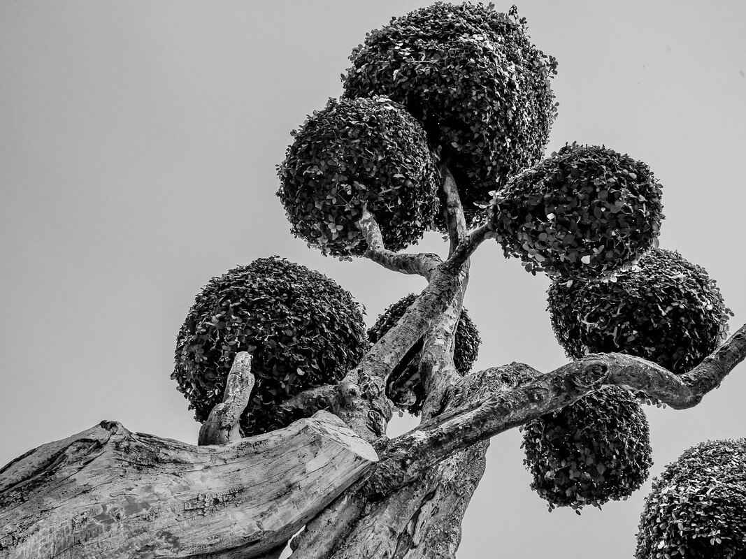 The Etymology of Lillienu