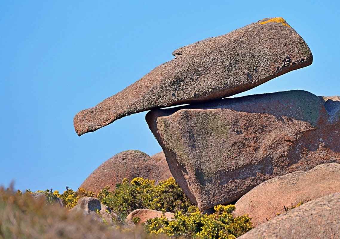 Future of the Name Lillienu