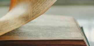 Linda Wilson NYC Dept of Education: Contributions and Impact in Education Linda Wilson NYC Dept of Education: Contributions and Impact in Education