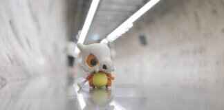 Litleo Pokémon: Best Moves, Strengths, and Evolution Tips Litleo Pokémon: Best Moves, Strengths, and Evolution Tips