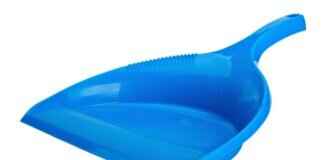 Litten Pokémon: Evolution, Best Moveset, and Battle Strategies Litten Pokémon: Evolution, Best Moveset, and Battle Strategies