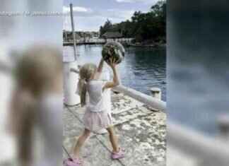 Little Girl Plays Catch with Dolphin: Fun Underwater Game little-girl-plays-catch-with-dolphin-fun-underwater-game