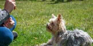 Liverpool Camp: How to Train Like a Premier League Pro Liverpool Camp: How to Train Like a Premier League Pro