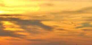 Liverpool Keeper Jersey: The Best Designs and Where to Buy Liverpool Keeper Jersey: The Best Designs and Where to Buy