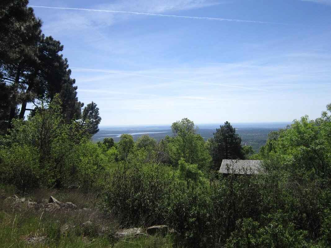 Lizbeth Rodriguez OnlyFans: A Look Inside Her Exclusive Content & OnlyFans Leaks 9 Conclusion