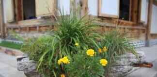 Love2Love.lv’s Vision for Enhancing Customer Intimacy Experiences Love2Love.lv's Vision for Enhancing Customer Intimacy Experiences