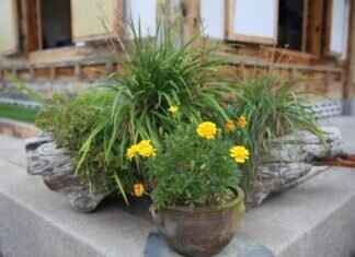 Love2Love.lv’s Vision for Enhancing Customer Intimacy Experiences Love2Love.lv's Vision for Enhancing Customer Intimacy Experiences