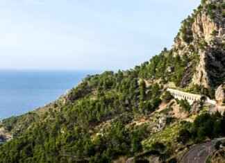 Mallorca Nude Resort: The Best Clothing-Optional Resorts for Relaxation Mallorca Nude Resort: The Best Clothing-Optional Resorts for Relaxation