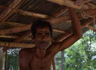 Mamata Banerjee: The Powerhouse Behind West Bengal’s Growth and Development Mamata Banerjee: The Powerhouse Behind West Bengal’s Growth and Development