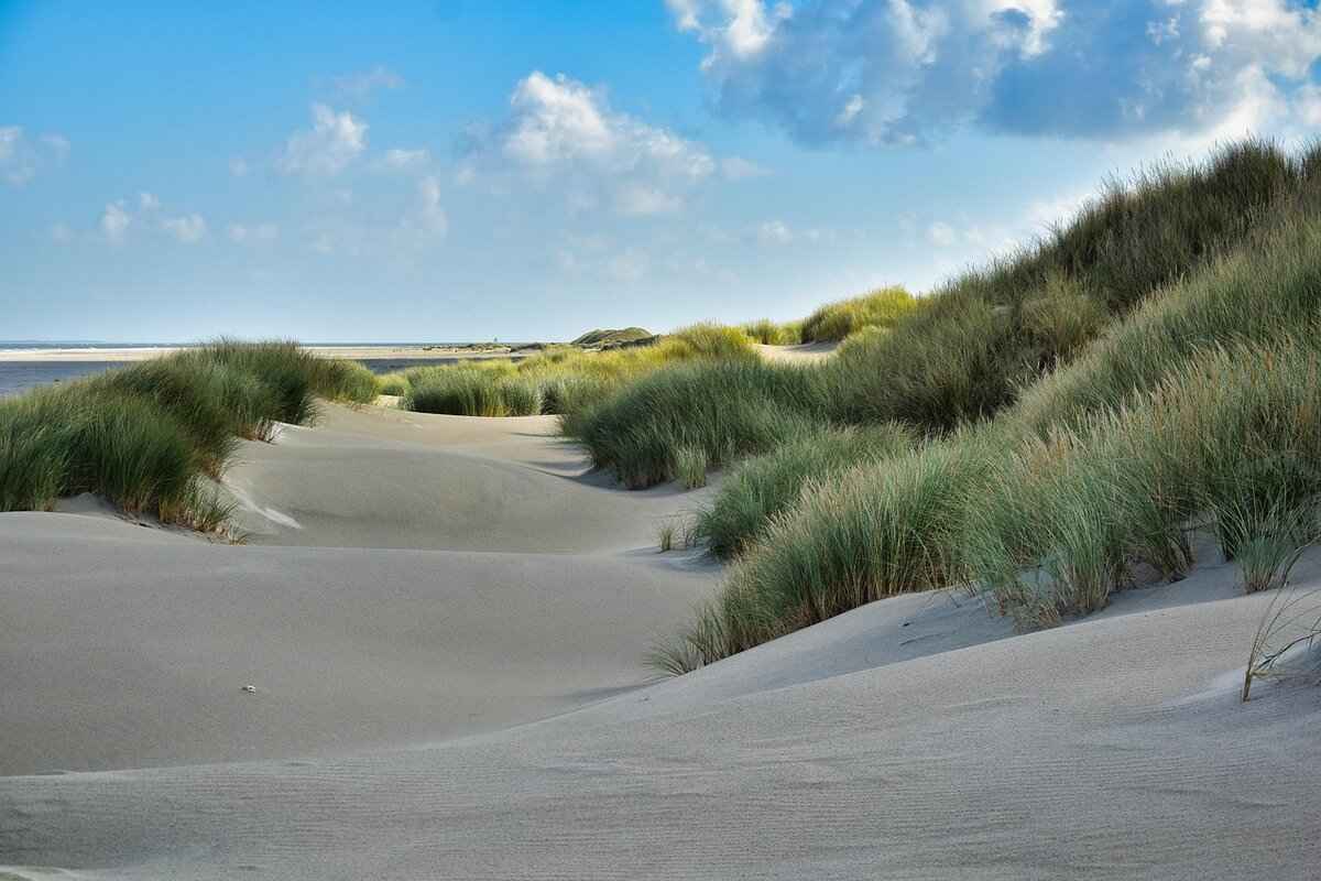 Best Time to Visit Mandarmani