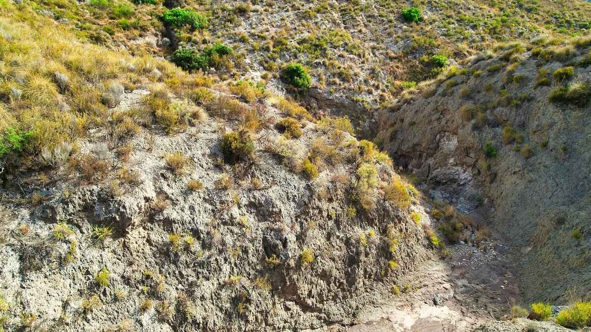 Who is Marcelo Bielsa?